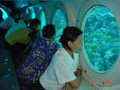 Bali Submarine Tour with Return Transfers